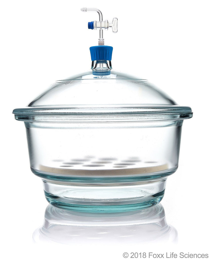 Borosil® Desiccators - Vacuum - 100mm (X-Small) 1/EA