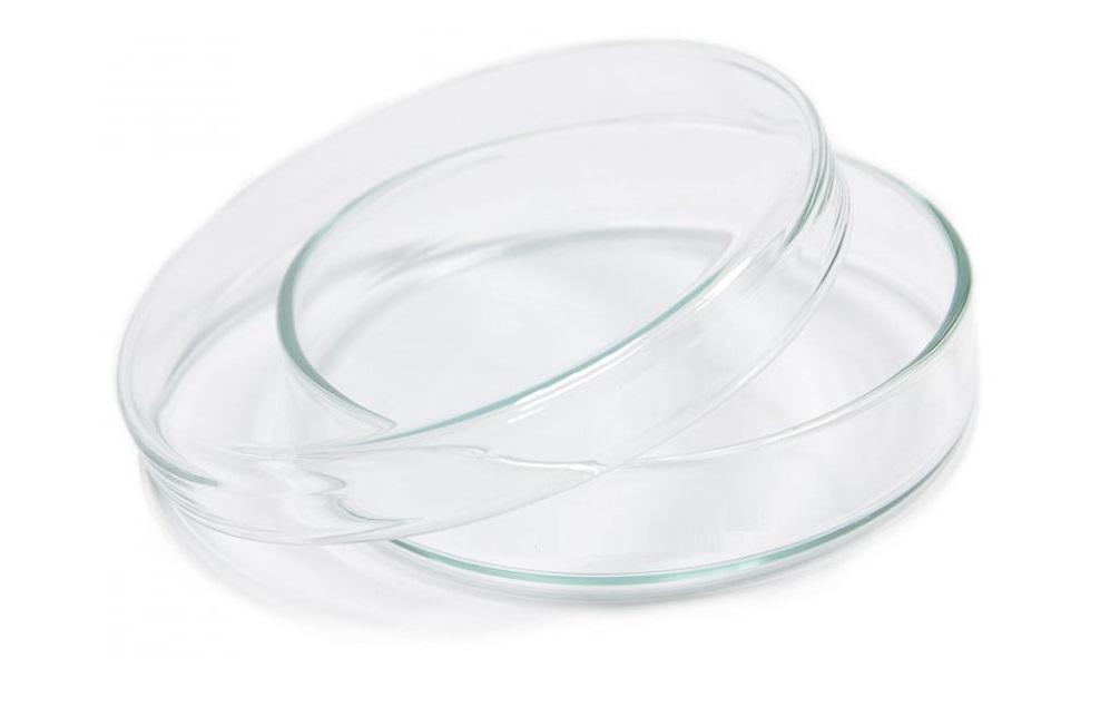 Borosil® Dishes - Petri - with Covers - 100mm x 17mm (OD x H) - CS/100